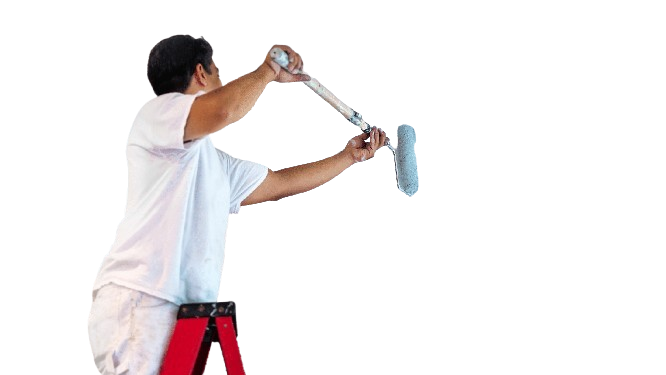 LS BR MULTI SERVICES