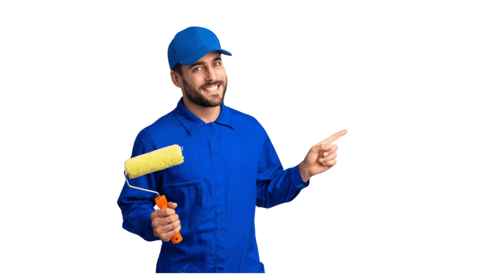 LS BR MULTI SERVICES